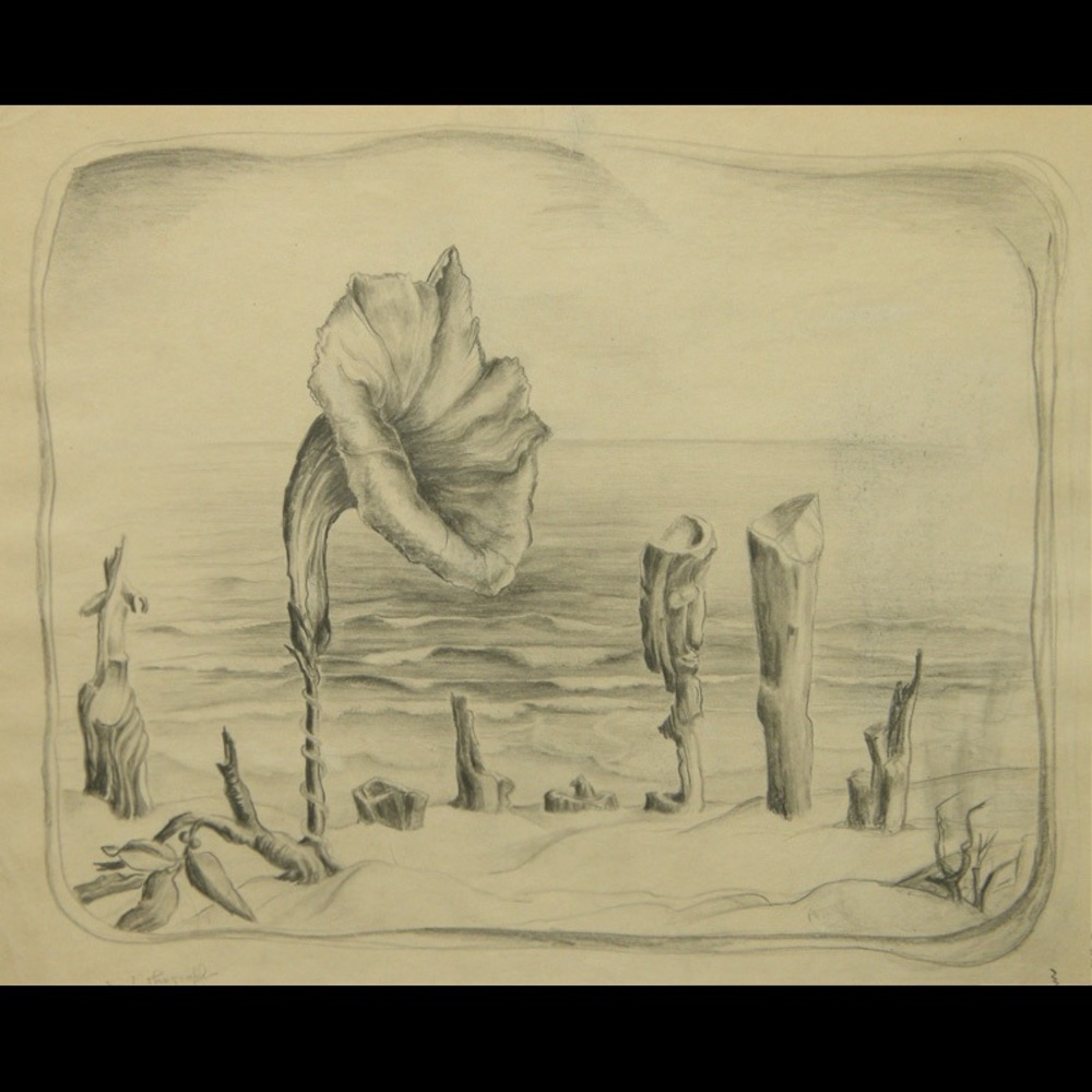 Meet your Posher, Ariana